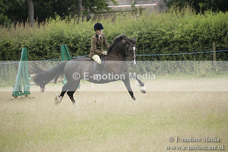 B230619-0723 - Bourne Valley Riding Club Summer Show 23/06/19