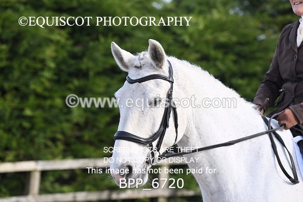 BPP_6720 - RING 1  (RIDDEN HORSES / IN HAND / VETERAN ETC)