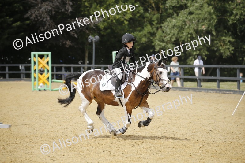 20250622-4129 - 50cm