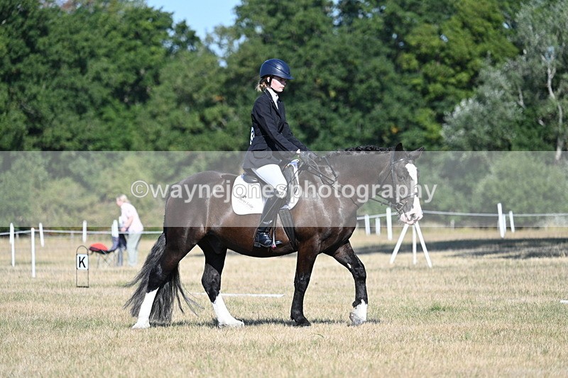 WJ7_9138 - Time 09:27 to 10:03