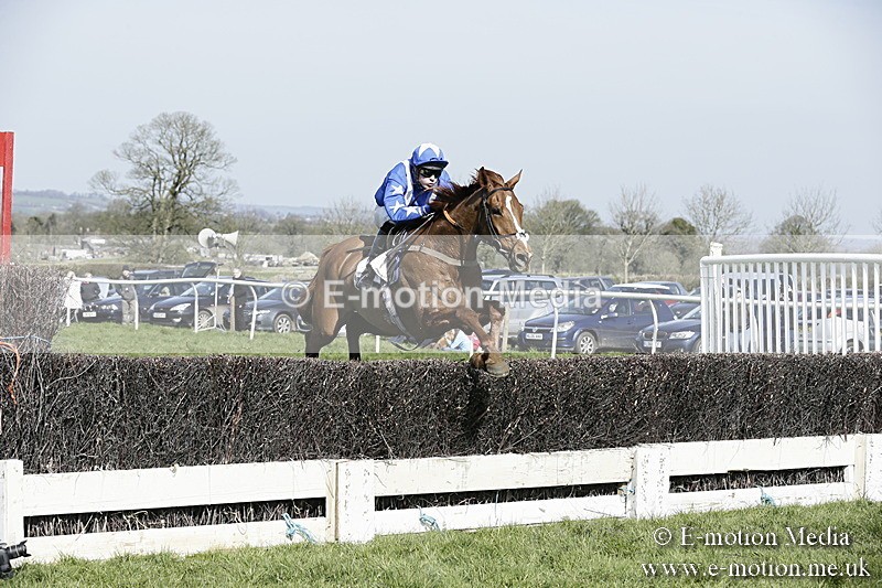 PtP 260317 127 - Mendip Farmers Point-to-Point Ston Easton 26/03/17