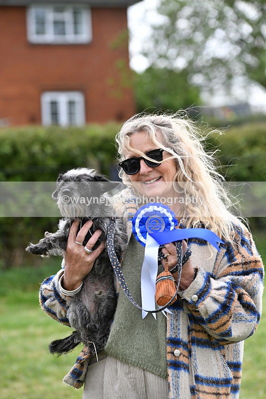 WJ5_9399 - Class 1 Best Cross Breed / Heniz 57