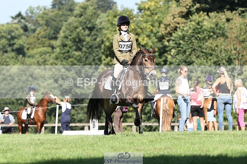 250823A-103215-27724 - Arena D