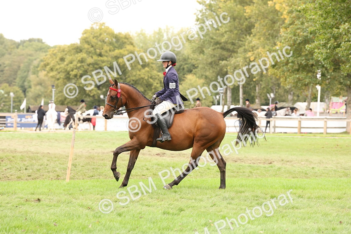 SBM_64249 - S65 - Riding Horse & Hack & Thoroughbred Ridden