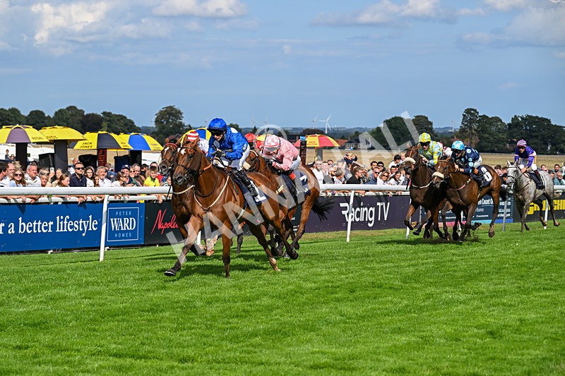 300826-Race 4-Financer-0537 - Race 4 3.20pm Ward Homes Yorkshire Handicap
