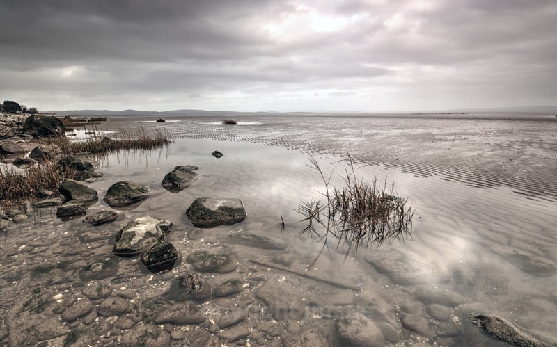 Grey Sea - The Low Lands