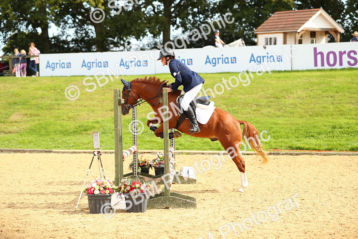 SBM_66142 - J17 - Junior Pony 80cm Championship