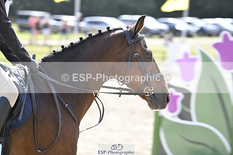 240823X-152648-18692 - 70cm R2 15.20 to 16.40