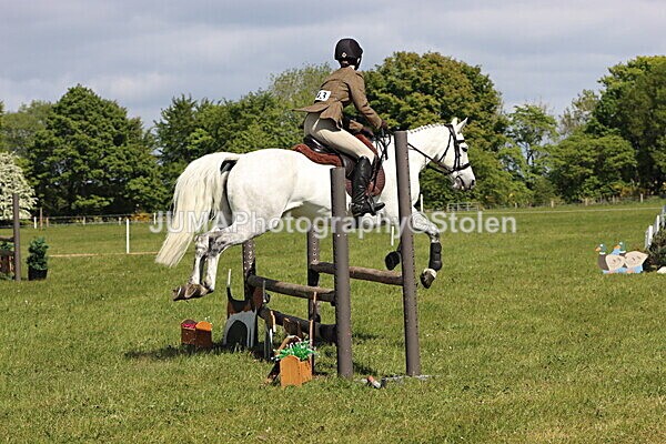 IMG_4495 - Working Hunter