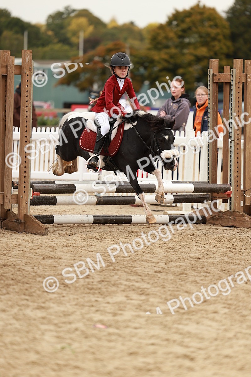 SBM_57931 - J11 - Junior Pony 50cm Championship