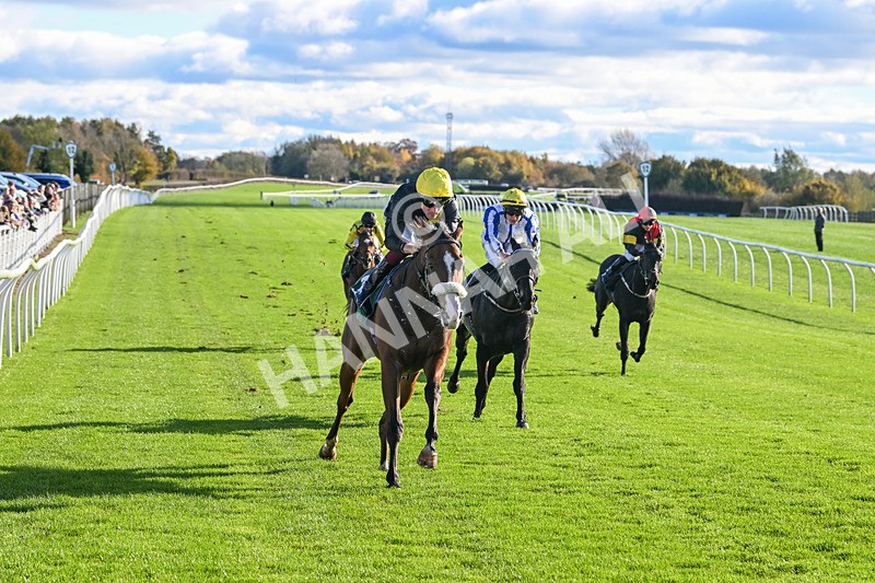 291024-Race 1-Hi Lord-5666 - Race 1