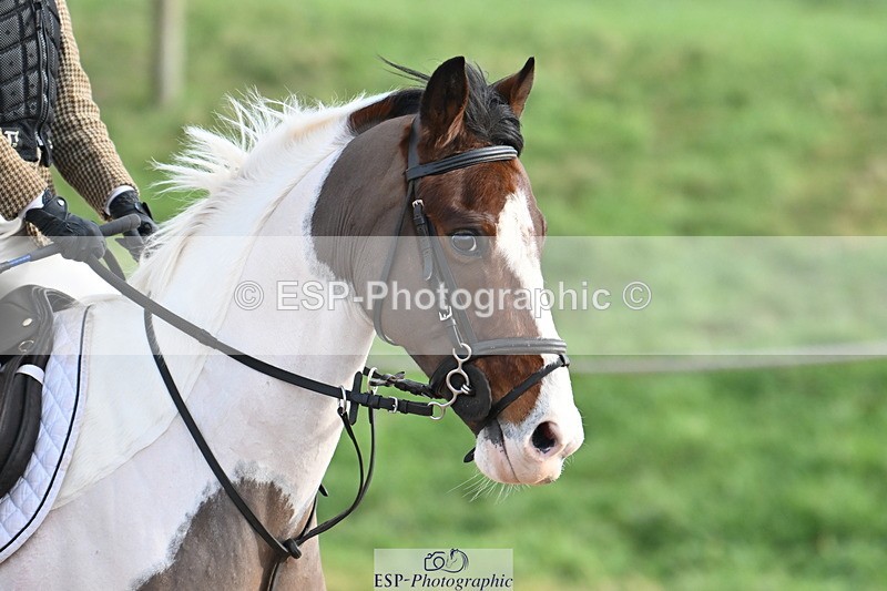 240127A-105204-00560 - SJ 60cm