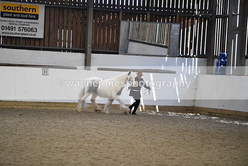 WJ5_5272 - Class 8 In hand cob