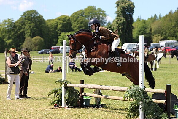 IMG_3747 - Working Hunter