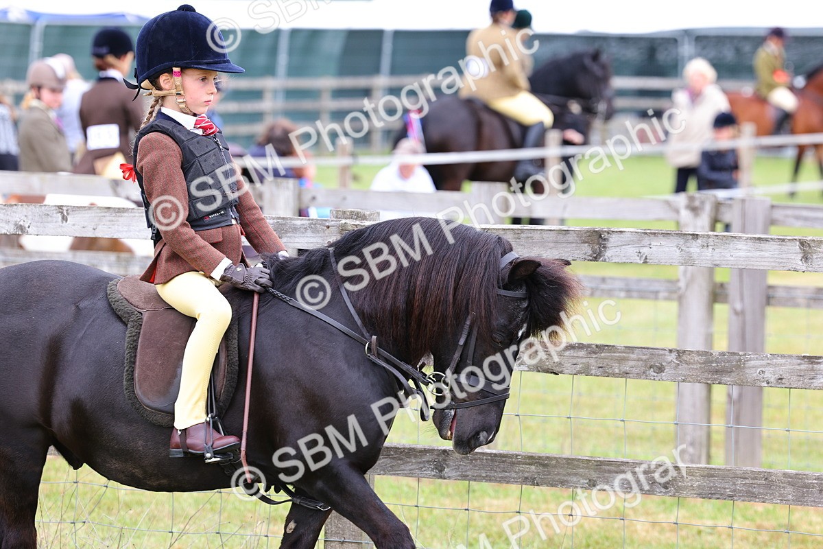 SBM_08425 - Class 42-43 - LIHS BSPS Heritage Working Sports Pony