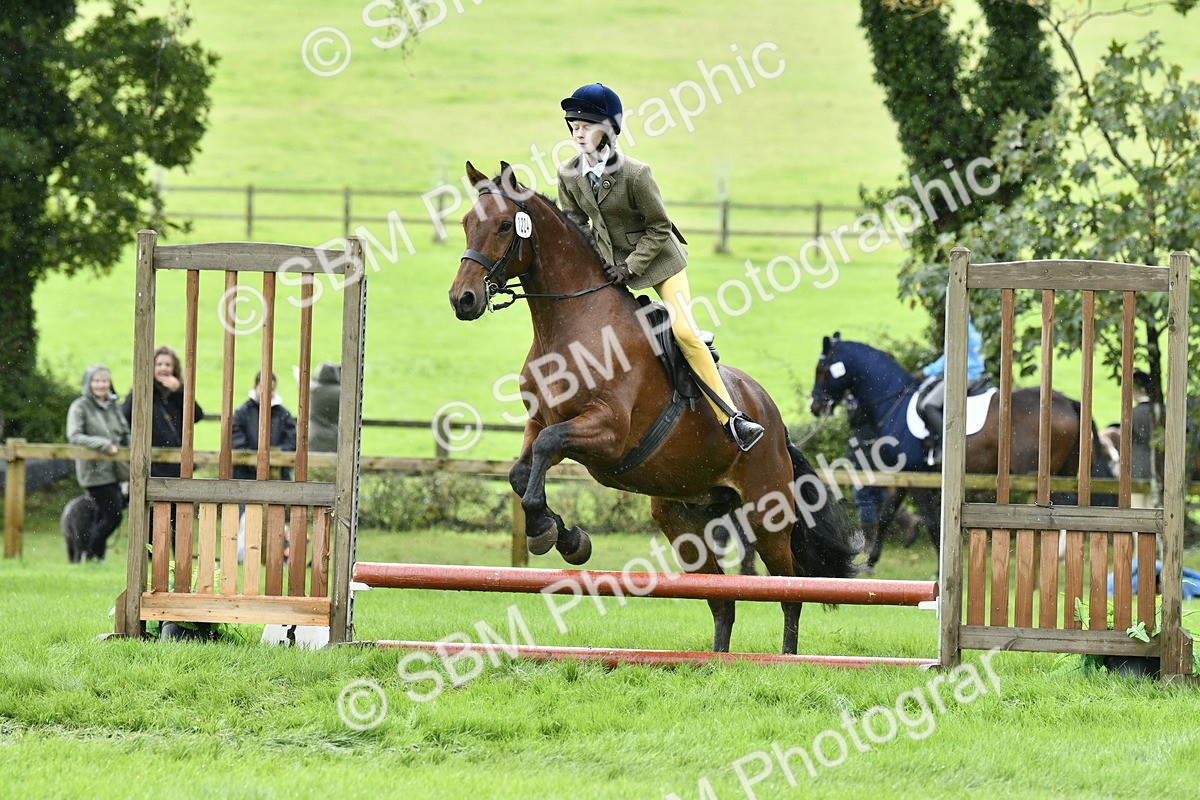 SBM_41414 - S32 - Mountain & Moorland Working Hunter Pony