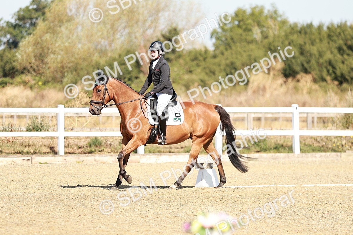 SBM_016981