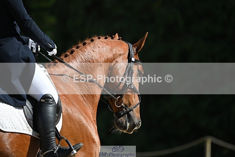 230526-155205-07200 - 251-CLASS_MOVE-Ellie_Healy-WEDTrotUp+DR