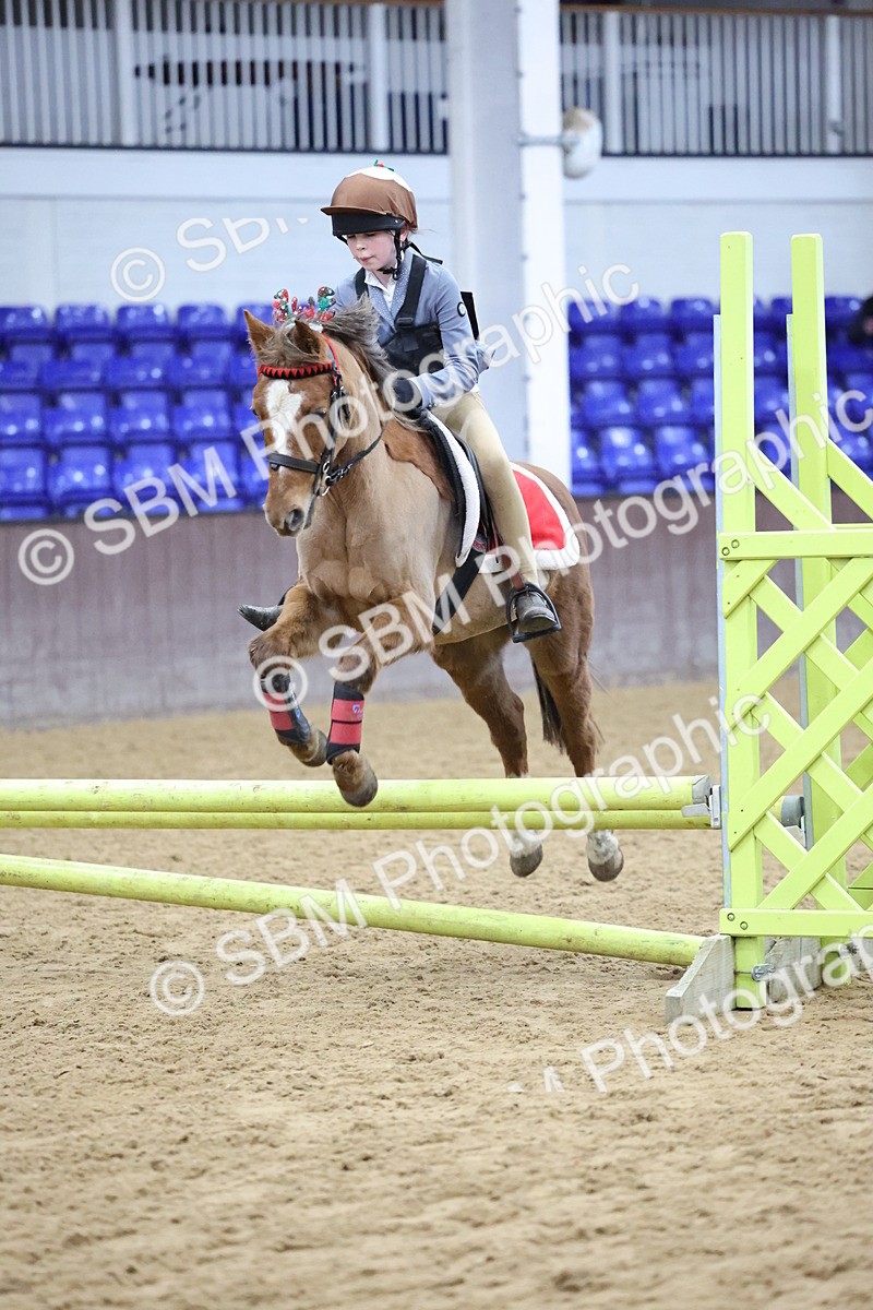 SBM_001094 - Class 3 - Christmas Tree Stakes - 60cm