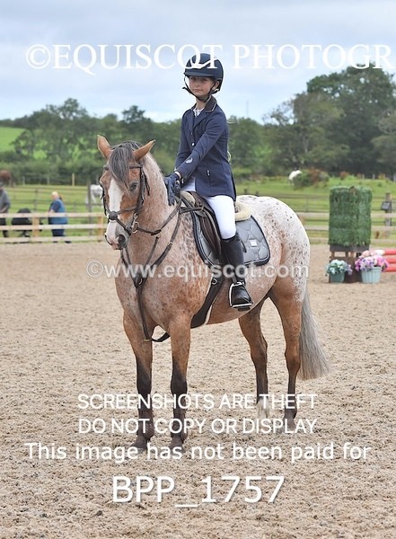 BPP_1757 - DERBY CLASS 4 - 50CM