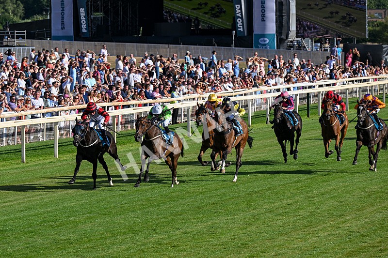 240726-Race 2-Vaguely Royal-0209 - Race 2 18.05pm Elevator Company Handicap