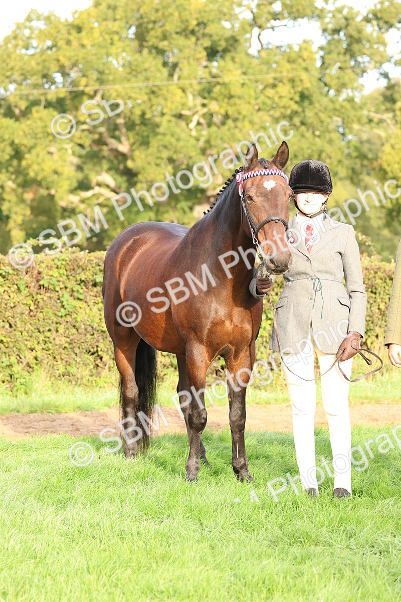 SBM_54832 - S39 - Starters In Hand Showing