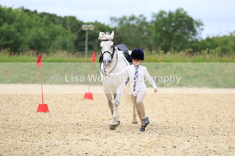 3E7A9413 - Walk trot run