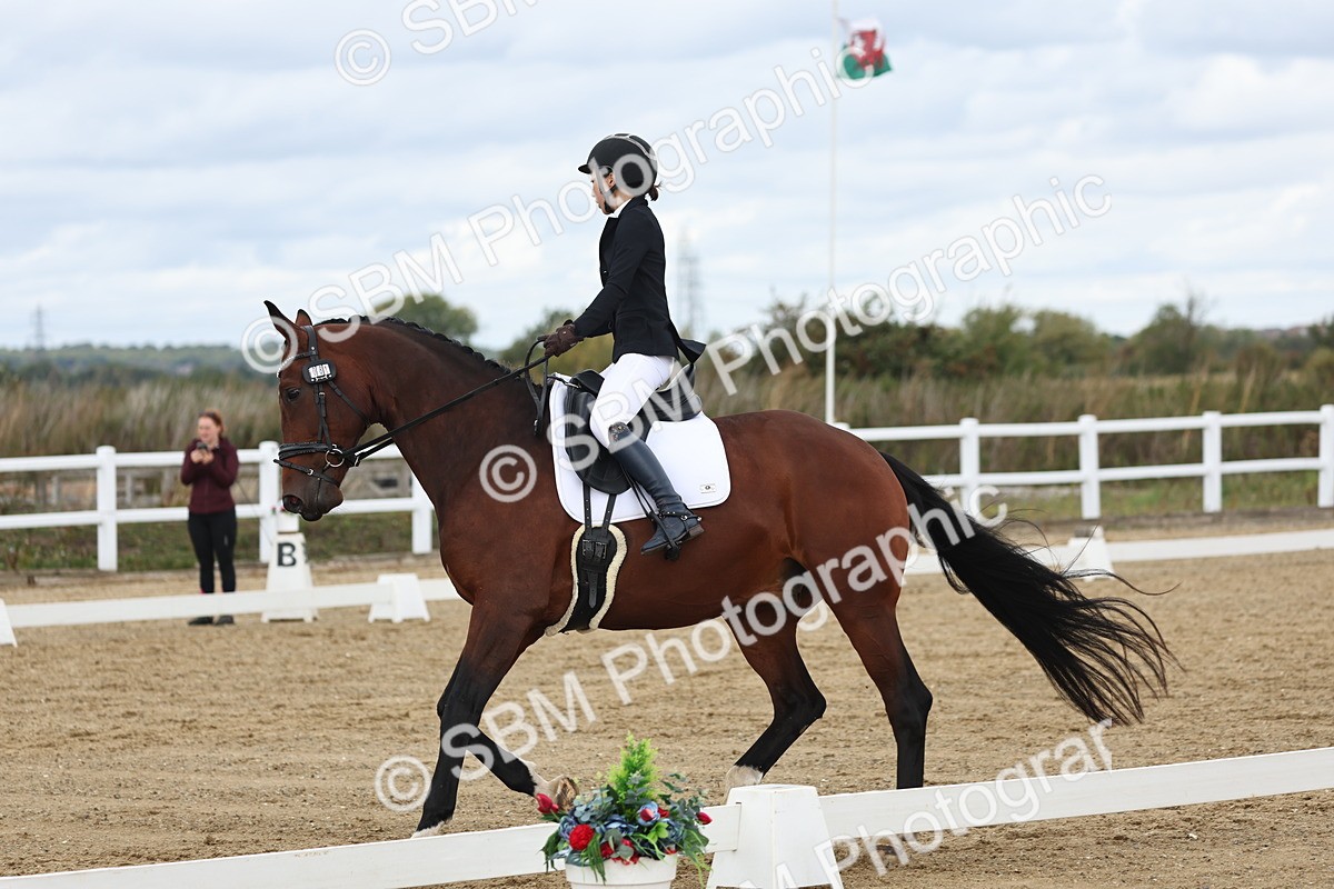 SBM_002521 - Class 7 - Novice 2 Warm Up