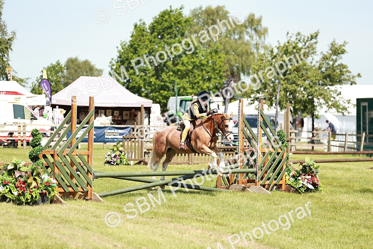 SBM_13583 - Class 108-109 - BSPS LIHS Open Gradle & Nursery Stakes