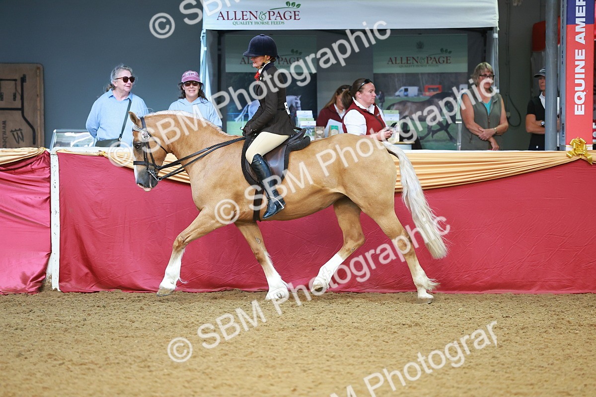 SBM_09488 - Class 102 - HOYS Veteran Qualifier - Ridden Veteran