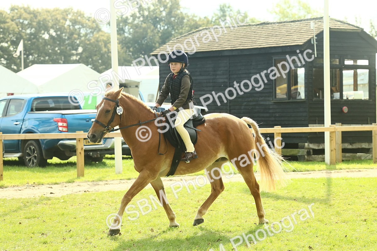 SBM_62507 - S62 - Foreign Breeds Ridden