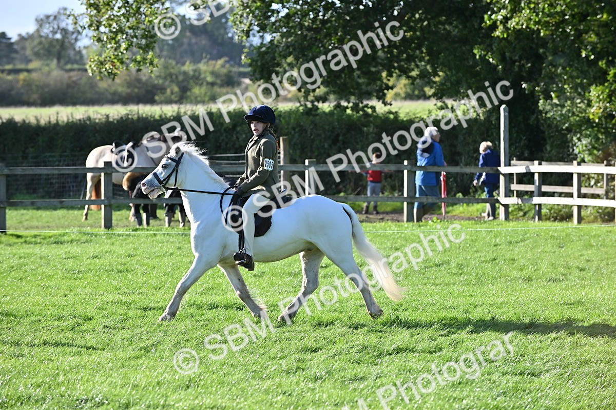 SBM_53009 - S23 - First Ridden Mountain & Moorland Pony