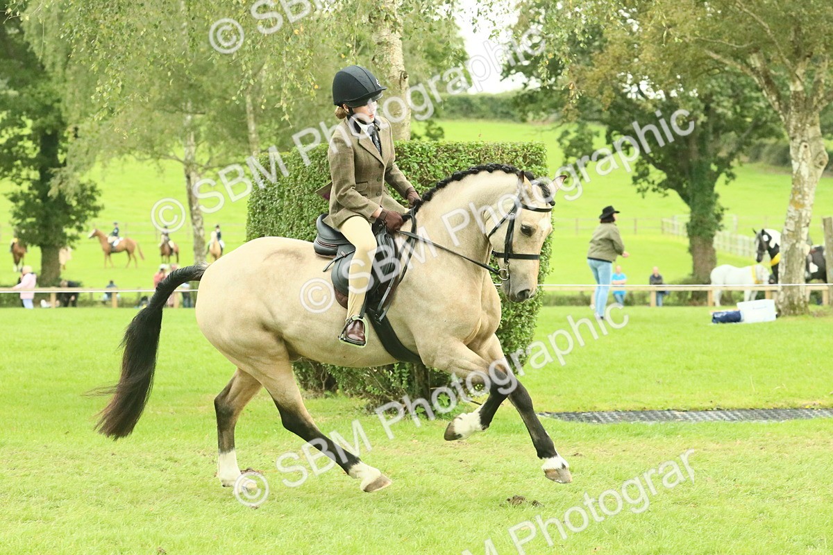 SBM_74004 - S 61 - Show Pony & Show Hunter Pony Ridden