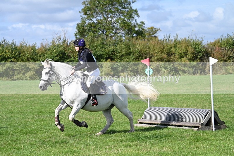 WJ7_8884 - Time 11:10 to 11:53