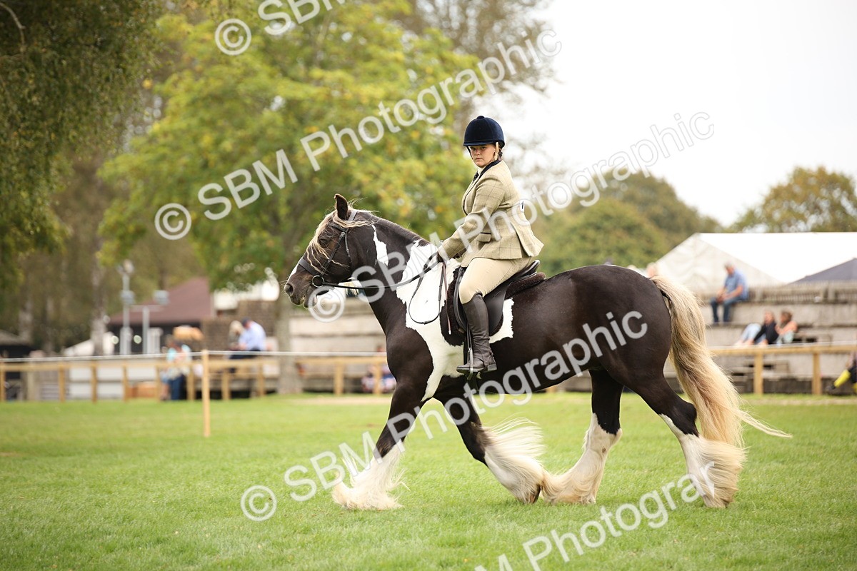 SBM_73500 - S68 - Traditional Cob Ridden