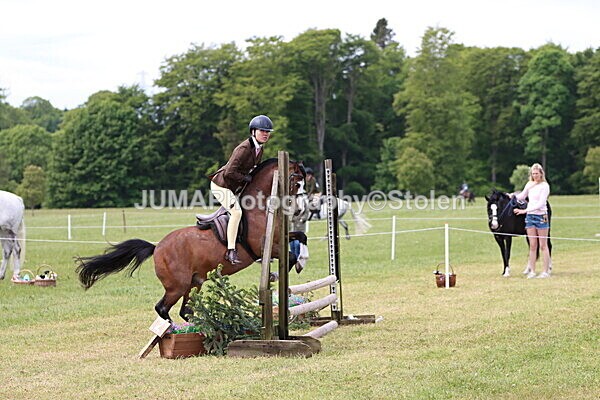 IMG_2872 - Working Hunter