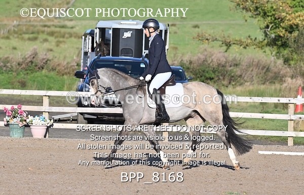 BPP_8168 - SHORT ARENA