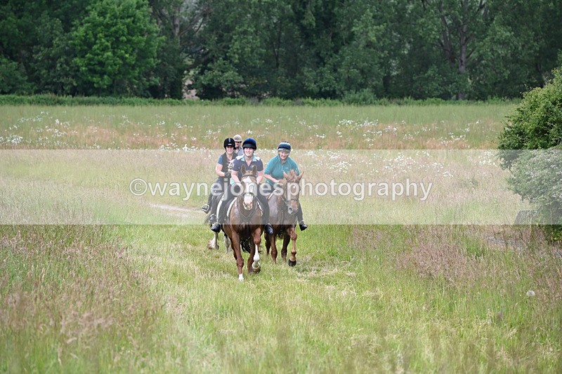 WJ6_8162 - Camera 1 Gallops