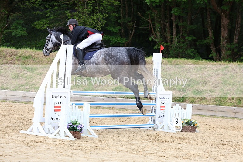 3E7A6216 - Class 4: Senior British Novice/90cm open