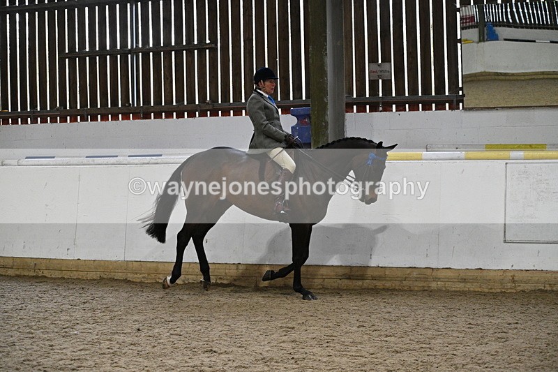 WJ7_3889 - Class 17 Ridden Cob