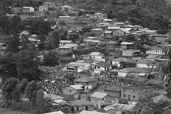 Mgwashi B/W - Scattered Black and Whites