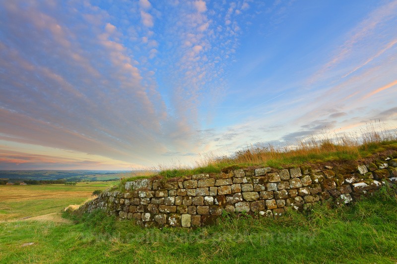 Hadrians Wall at Steel Rigg          ref  5504 - Northumberland