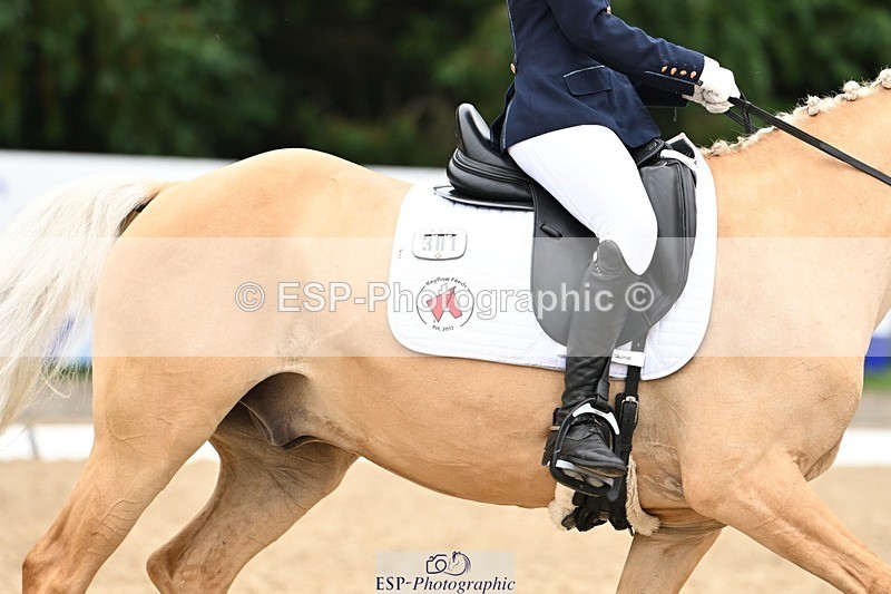 240811-122534-05825 - 301-Sophia.Longworth-Don.Deluxe