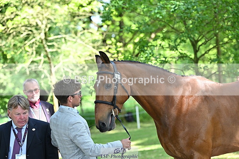 250521A-154506-00736 - B-363-Tom.D.Crisp-BLS.ABSOLUTELY