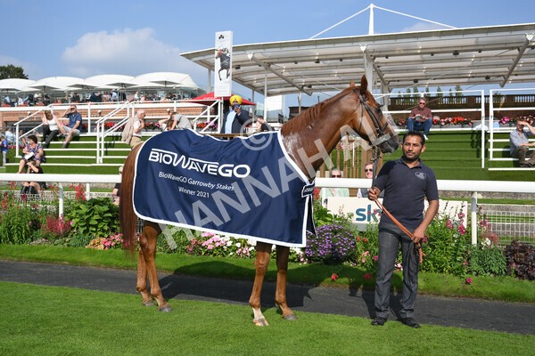 yr05092021r3-41 - Race 3 3.15pm The BioWaveGo Garrowby Stakes