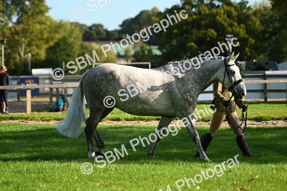 SBM_14698 - S1 - TSR in Hand Horse & Pony Showing