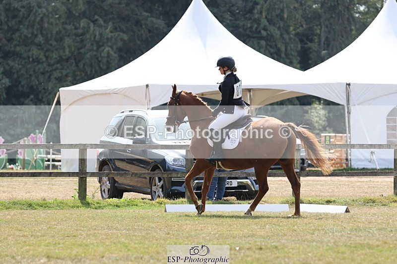 250823A-135656-31406 - Arena D