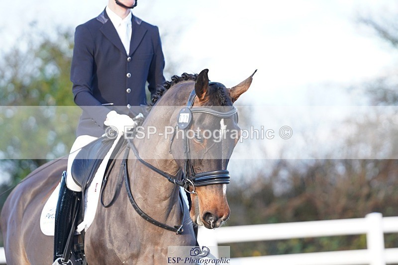 241214-101452-00135 - 127-Ben.James-Honesty