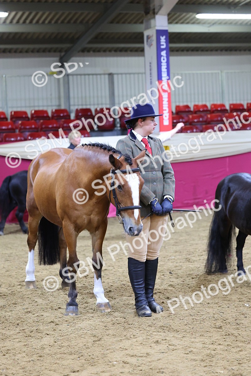 SBM_19720 - Class 901 - Supreme Final - IH Diamond