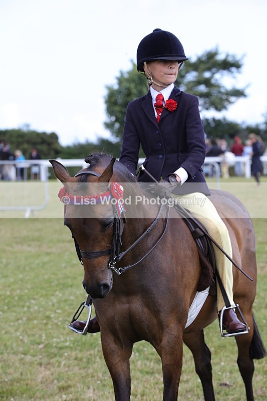 1X9A3897 - Class 31: Show Pony 148cm and under